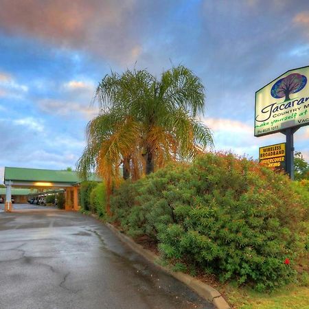 Jacaranda Country Motel Сент-Джордж Экстерьер фото