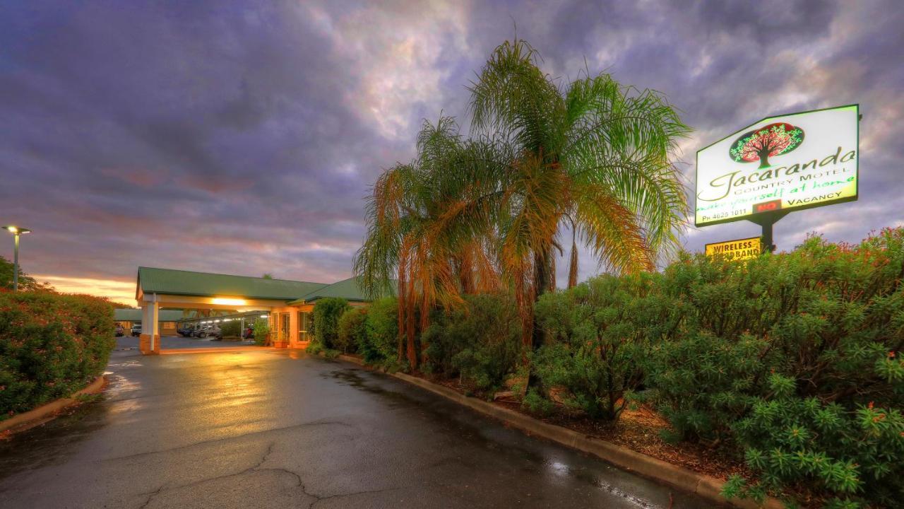 Jacaranda Country Motel Сент-Джордж Экстерьер фото